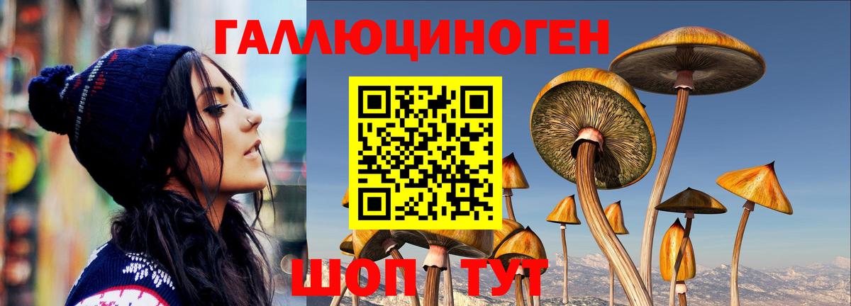купить наркотик  Вход с VPN  Киров  Галлюциногенные грибы мухоморы 